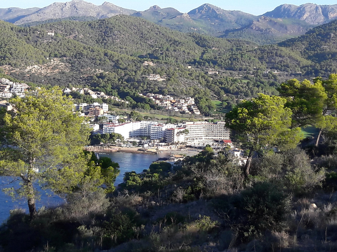 Camp de Mar Beach景点图片