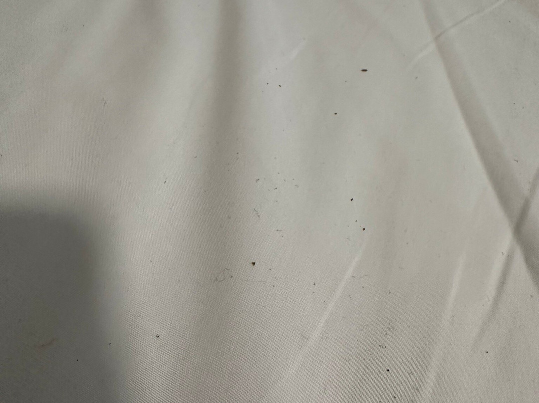 Hotel Colorado Lugano主图