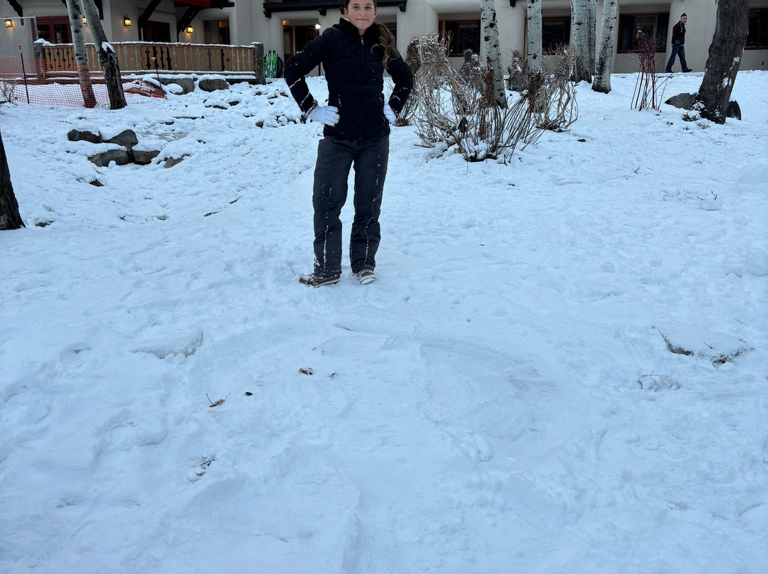 Olympic Village Inn主图