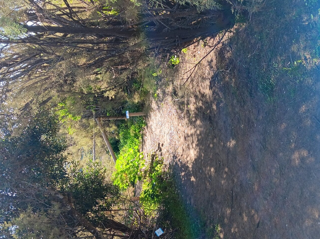 Għadira Nature Reserve景点图片