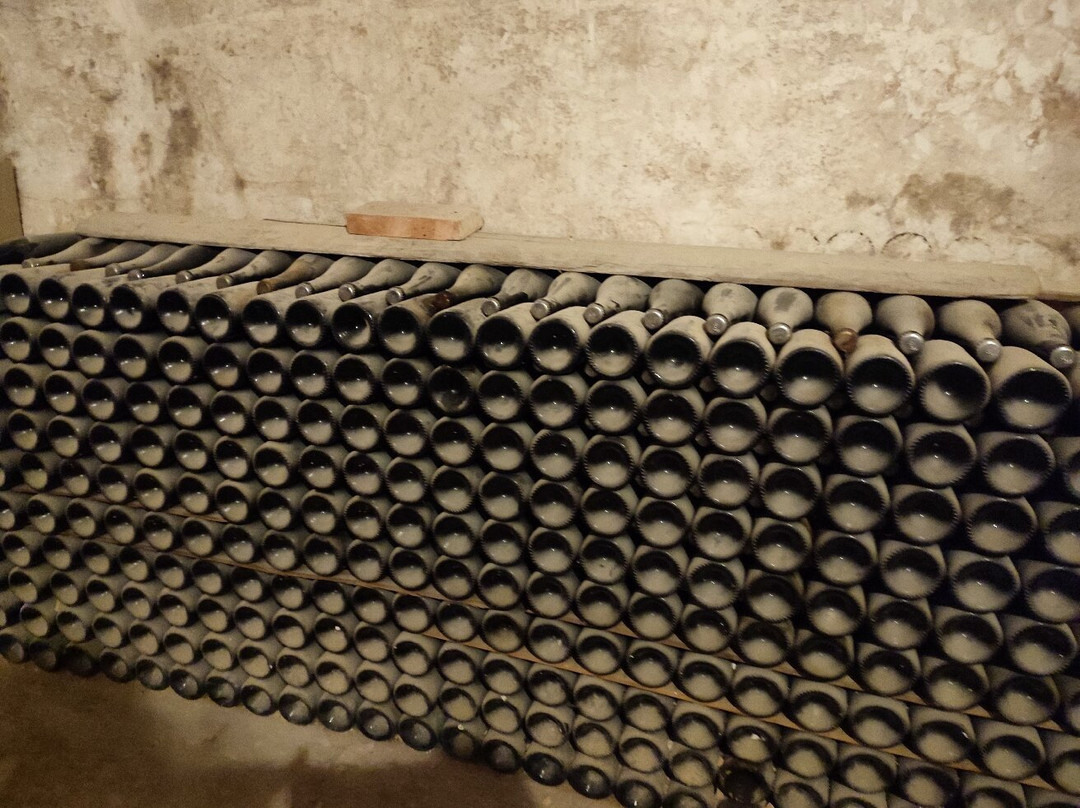 Bodega Vera de Estenas景点图片