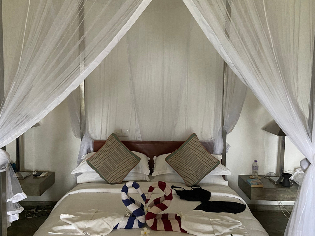 树的弗兰吉帕尼酒店主图