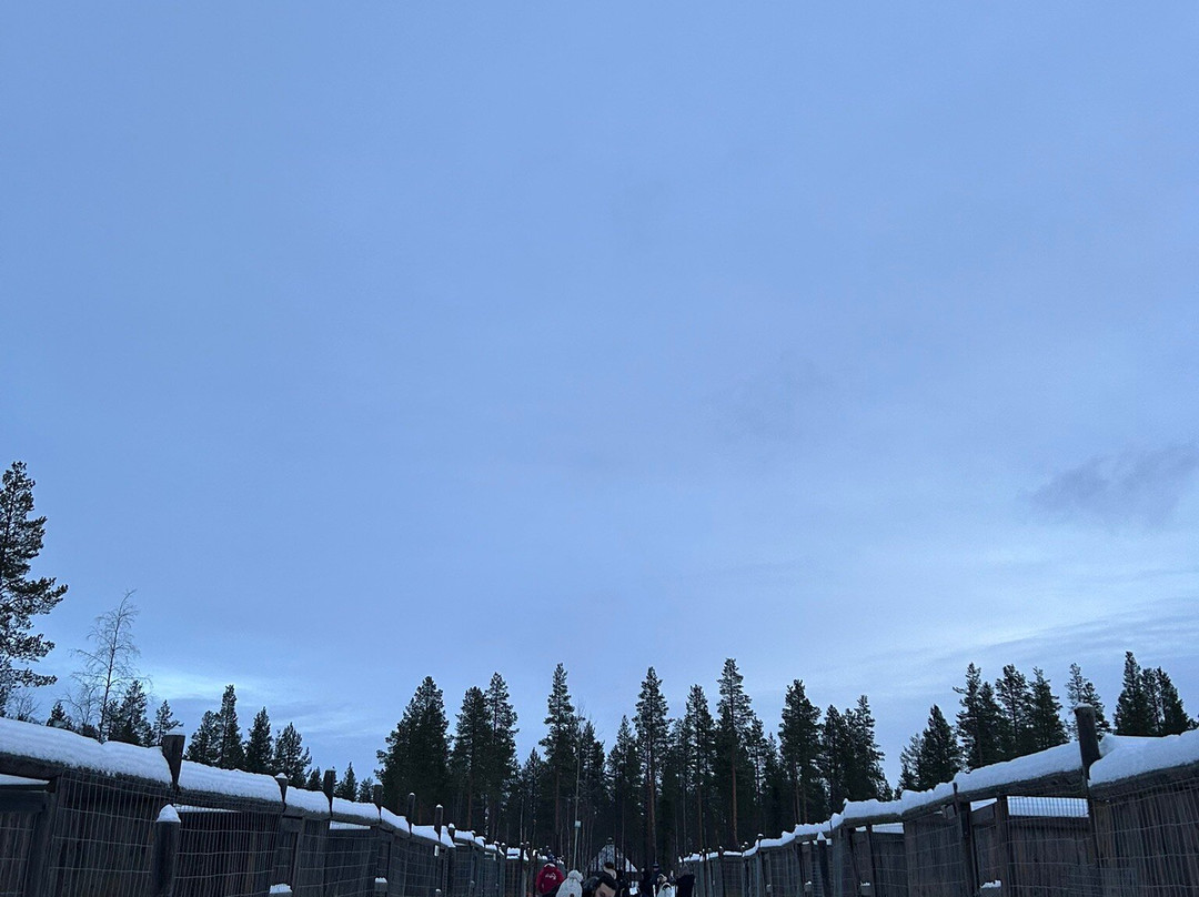 Polar Lights Tours-Sirkka必去景点