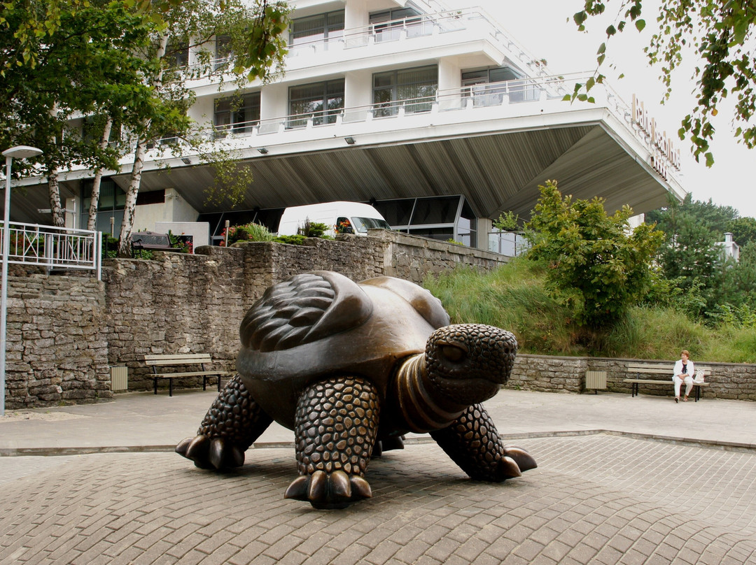 Brunurupucis (The Turtle)-尤尔马拉必去景点