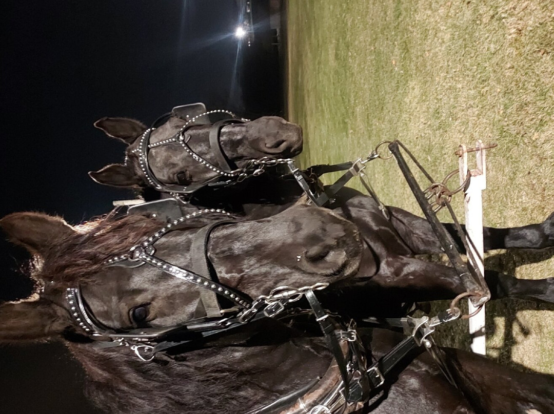 Charles A. Grignon Mansion-考考纳必去景点