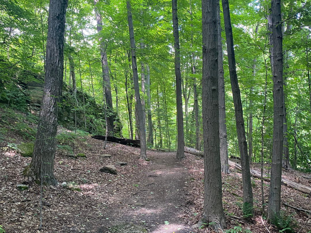 Nelson-Kennedy Ledges State Park-Nelson必去景点