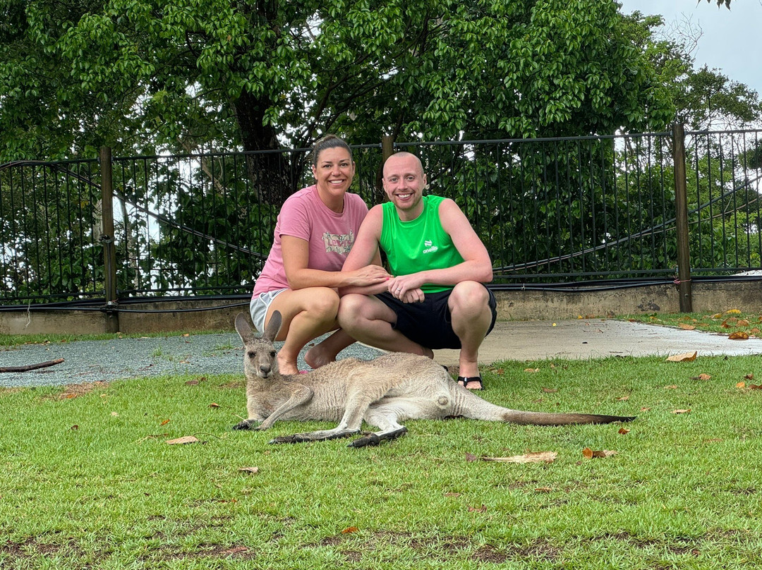 Cape Hillsborough National Park-Cape Hillsborough必去景点
