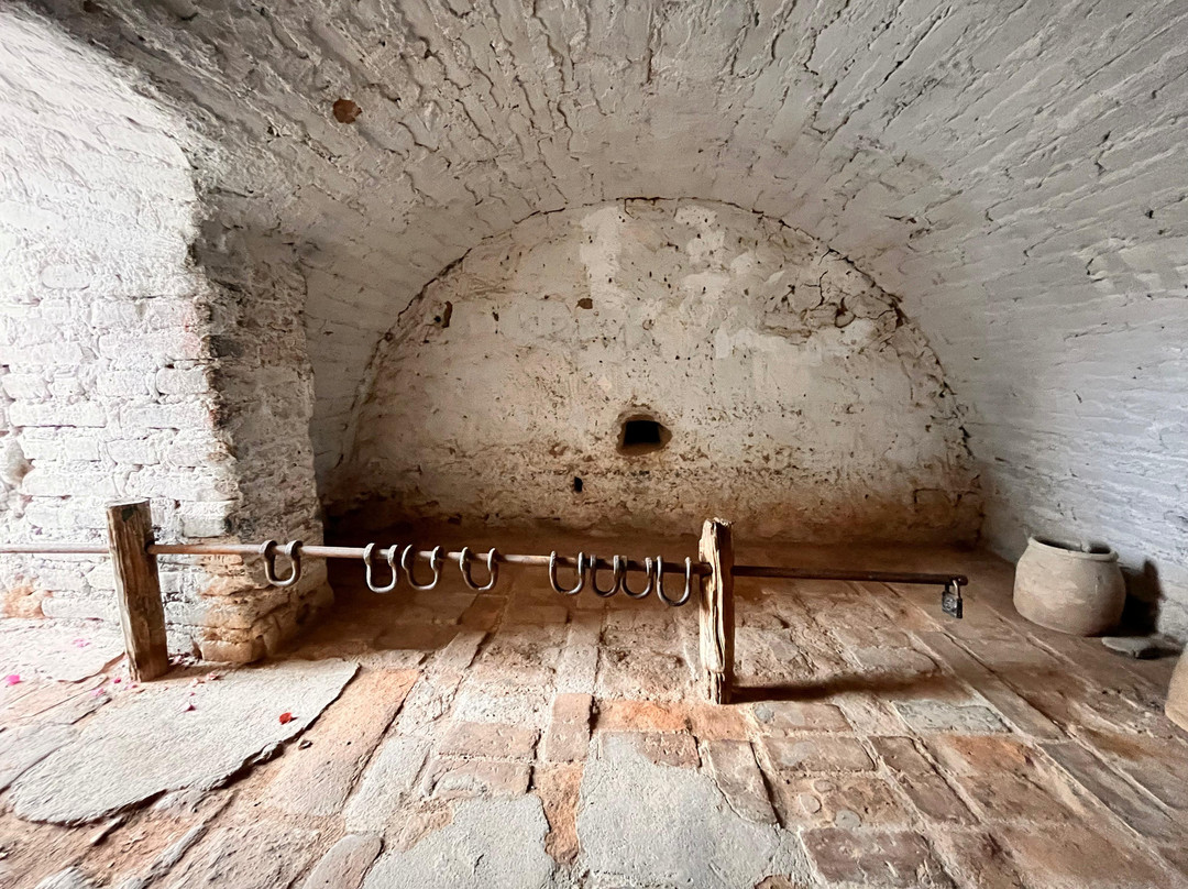 Tour Guiados Hacienda San José景点图片
