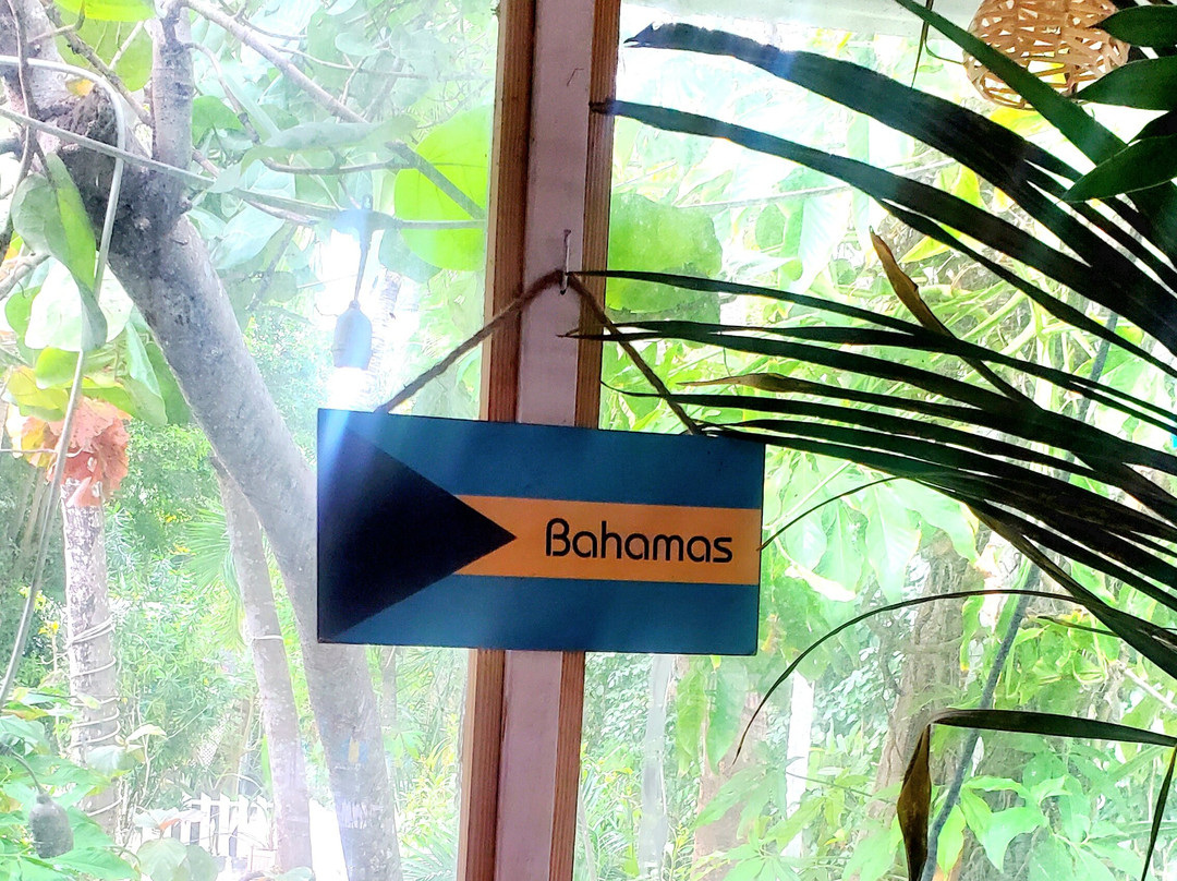 Tingum Village Hotel主图