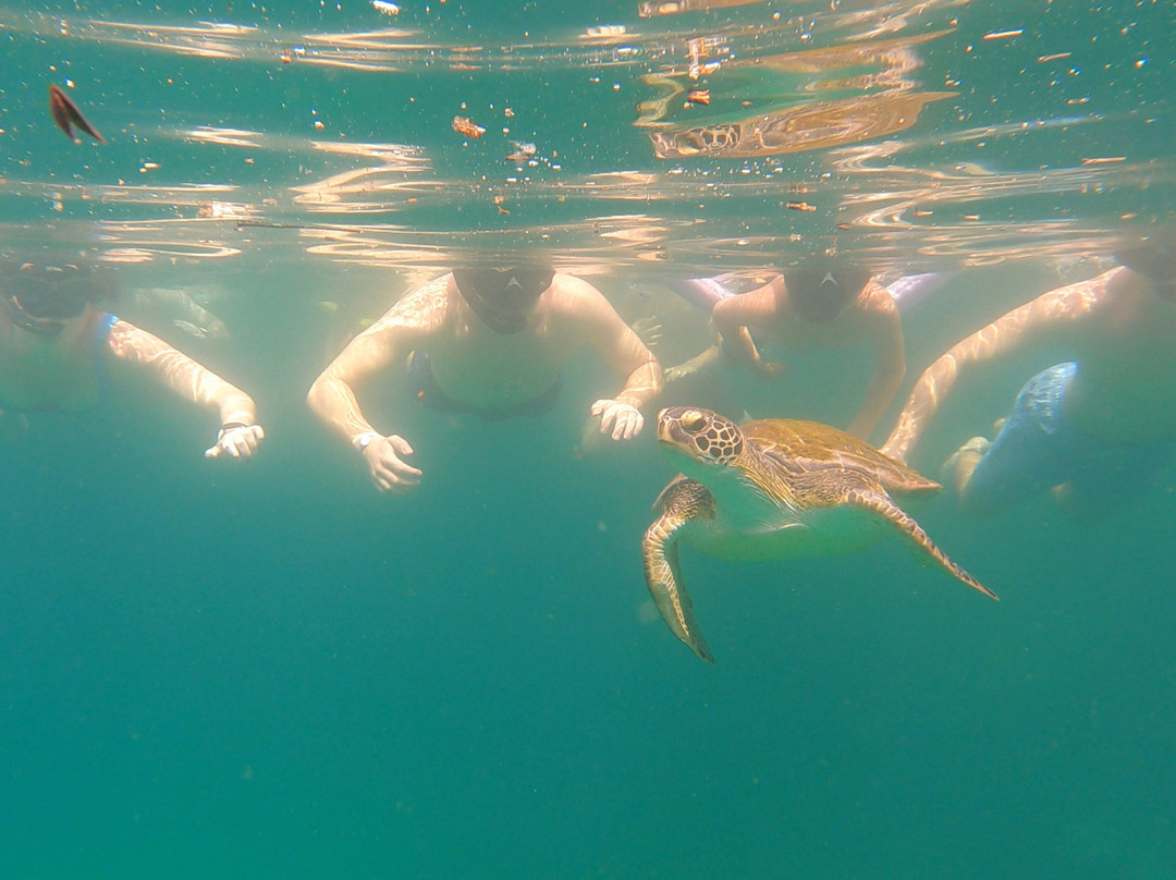 Acqua Jungle Ilha Grande-Vila do Abraao必去景点