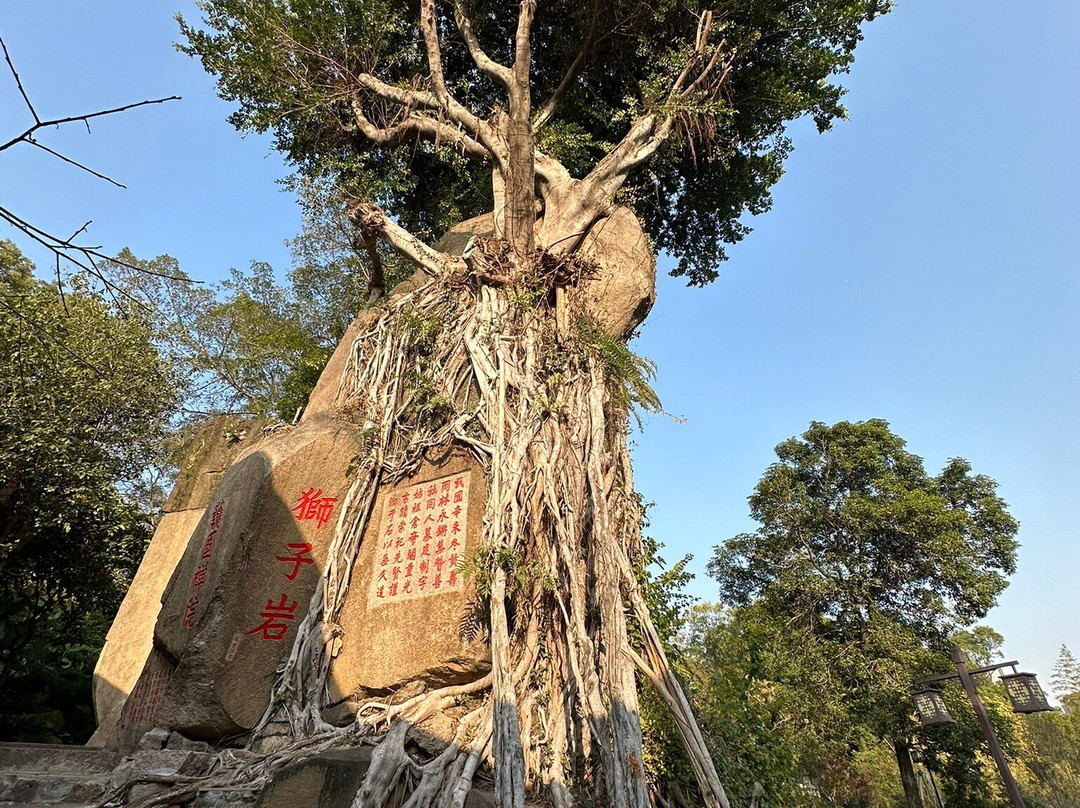 于山景点图片