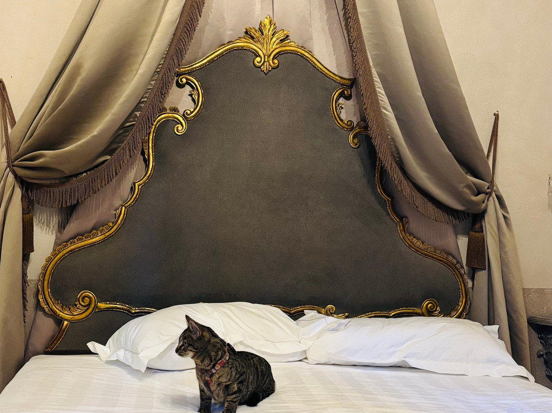 Hotel Villa Casagrande主图