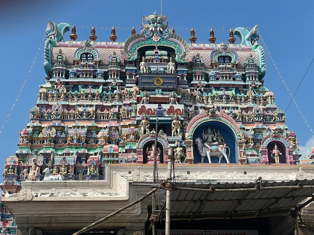 Arulmigu Nellaiappar Temple景点图片