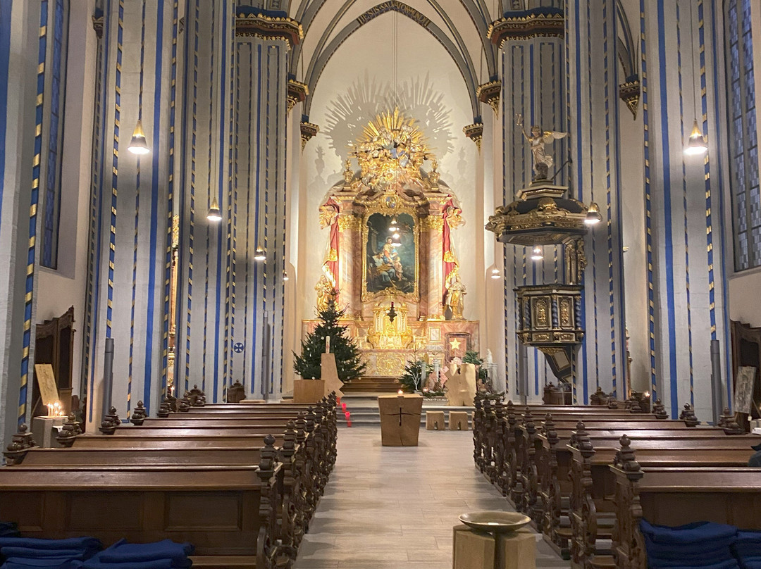 Namen-Jesu-Kirche-波恩必去景点