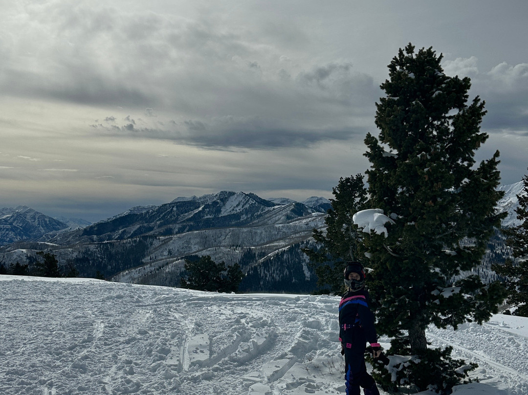 Wasatch Excursions景点图片