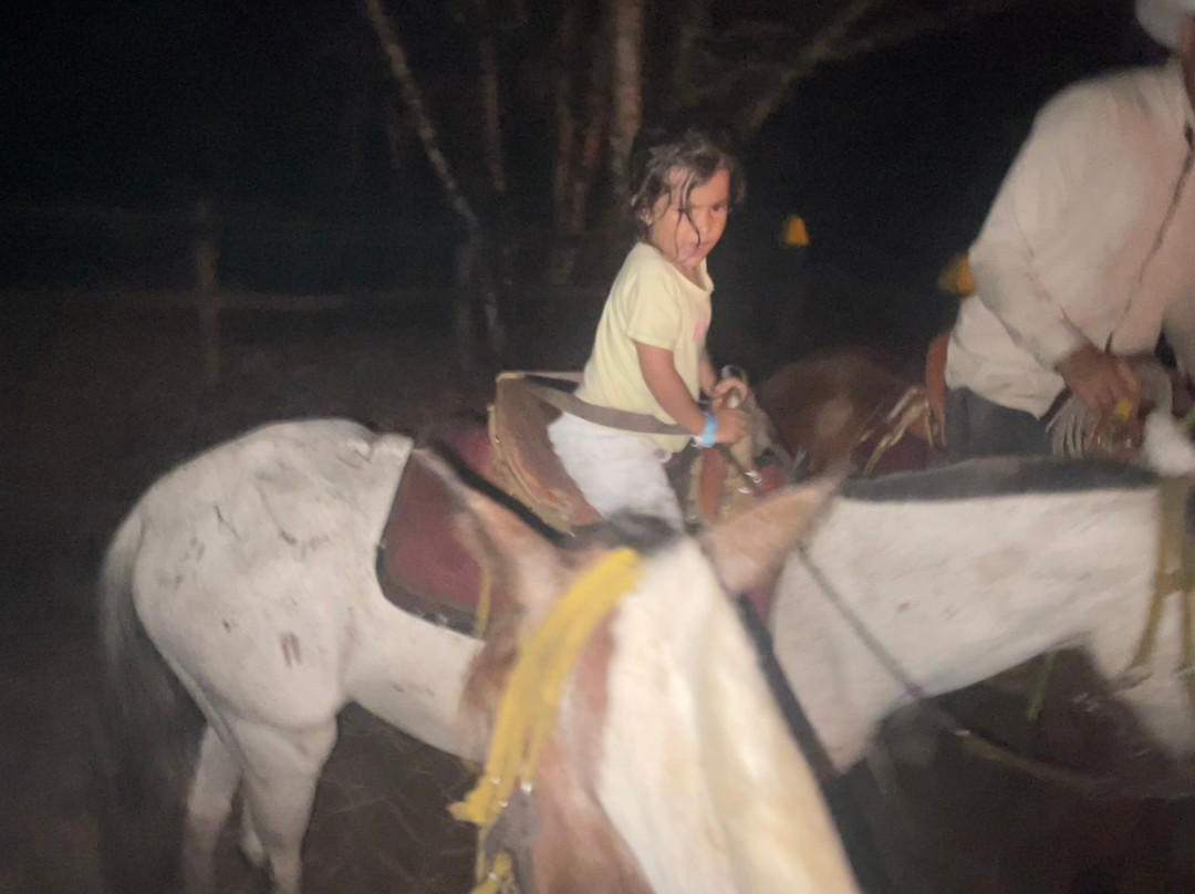 Tiuma Park-比亚维森西奥必去景点