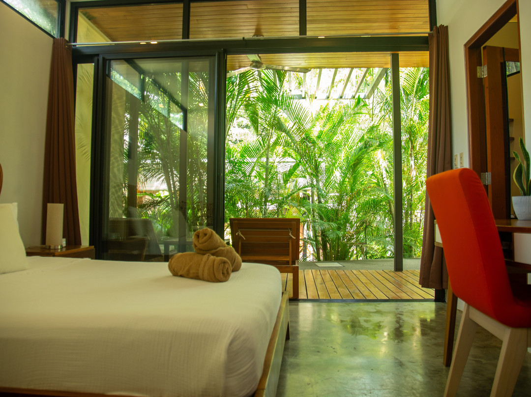 The White Palms Of Nosara