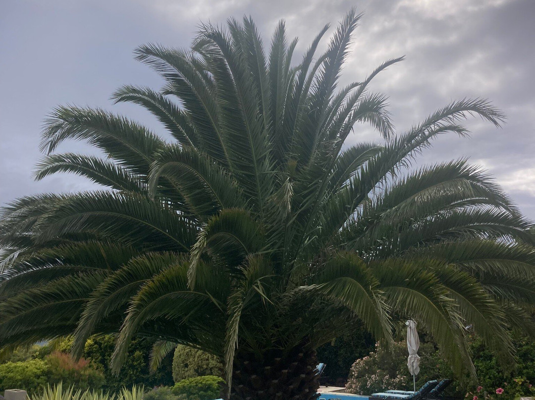 海湾豪华旅馆主图