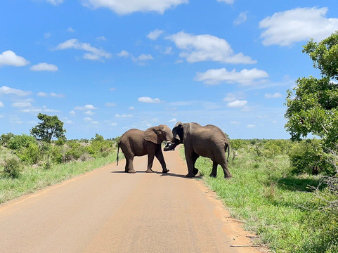 Dongeni Safaris-雾观必去景点