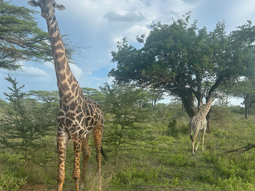 Marafiki Safaris & Cultural Tours-巴加莫约必去景点