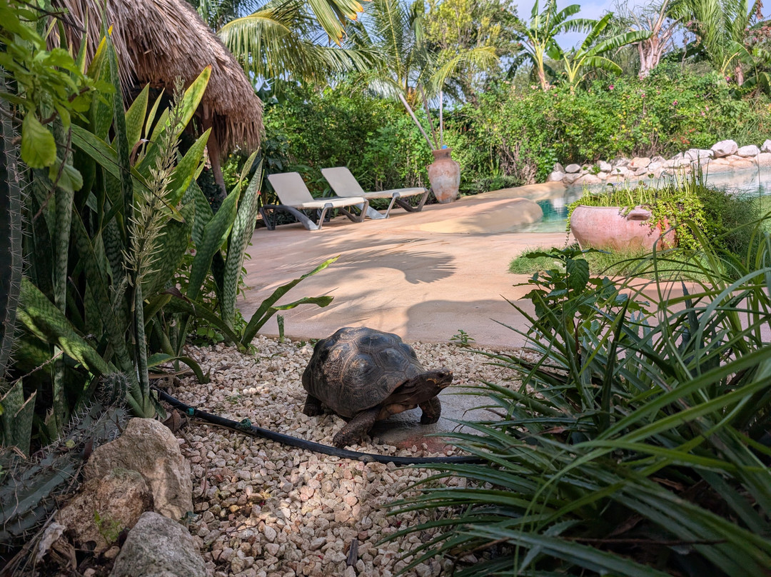 B&B Villa Zomerland主图