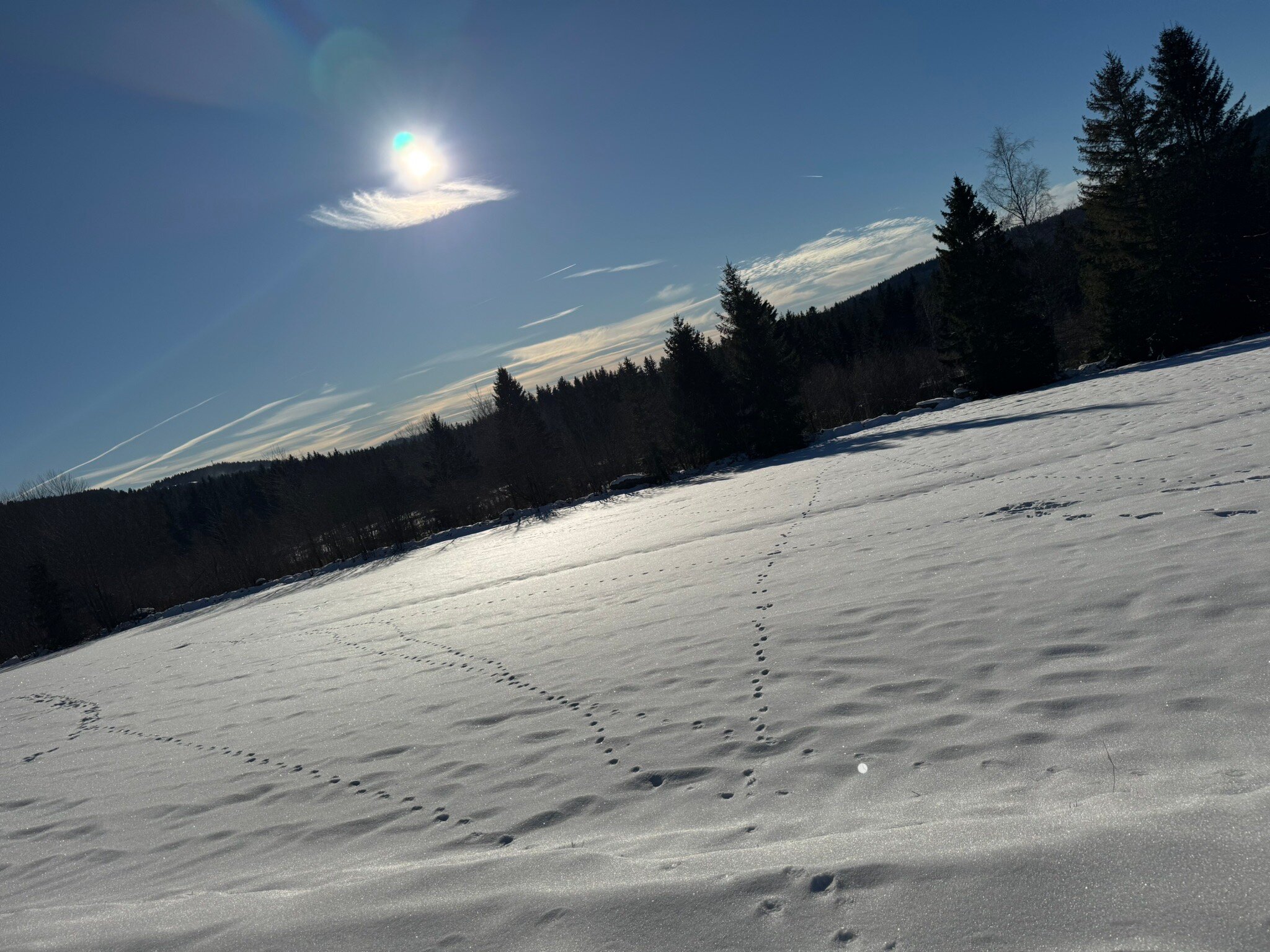 Landhotel Sportalm-官方