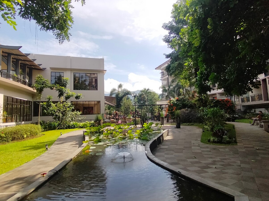 The Green Peak, Artotel Curated主图