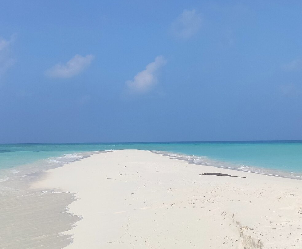 Oceano Beach Vashafaru主图