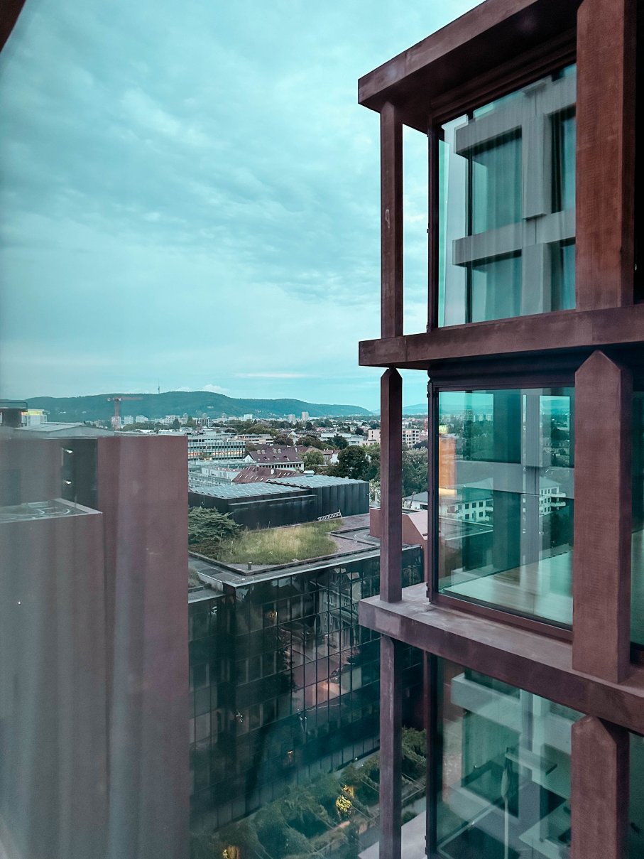 巴塞尔瑞享酒店-酒店景观