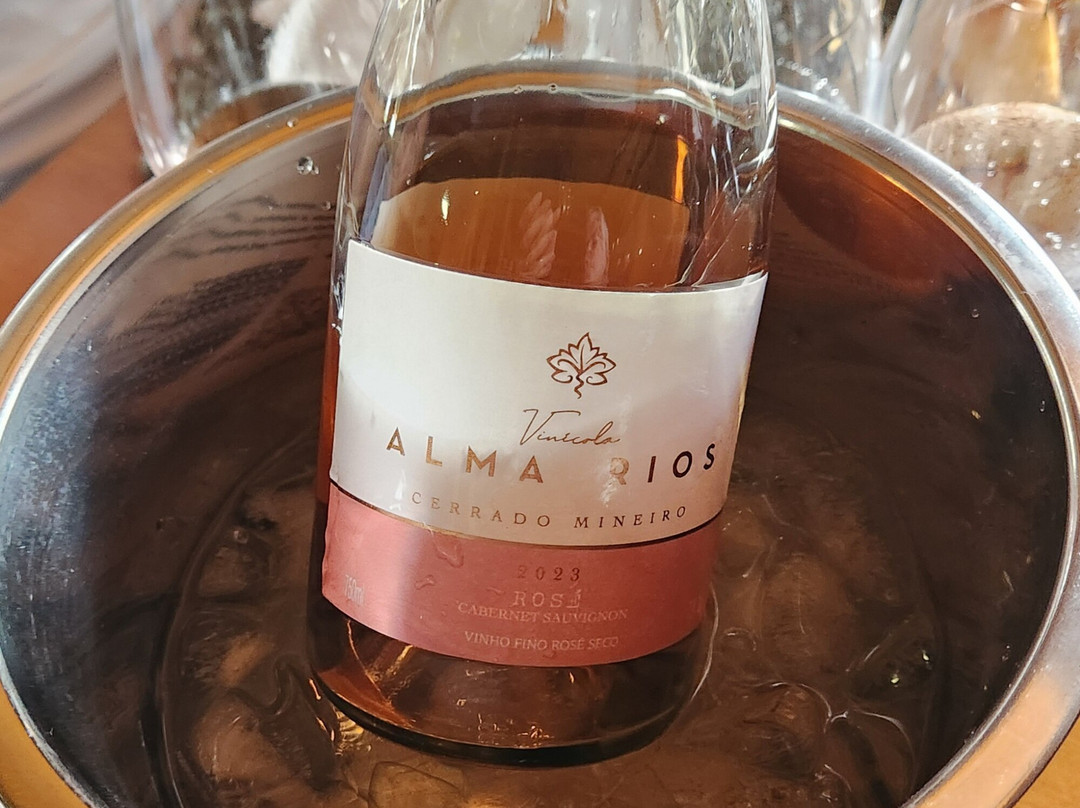 Vinícola Alma Rios景点图片