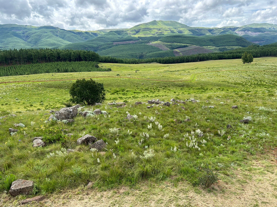Long Tom Toboggan @ Misty Mountain-沙比必去景点