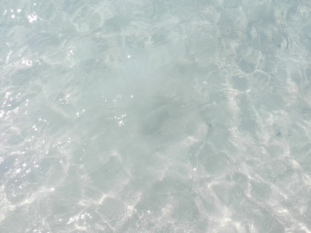 island dream tours phuket-奈汉必去景点
