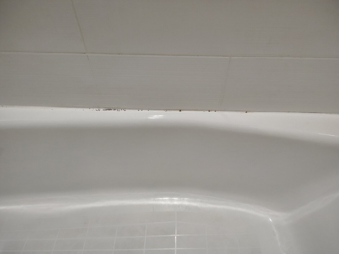 Red Roof Plus Dallas - Addison主图