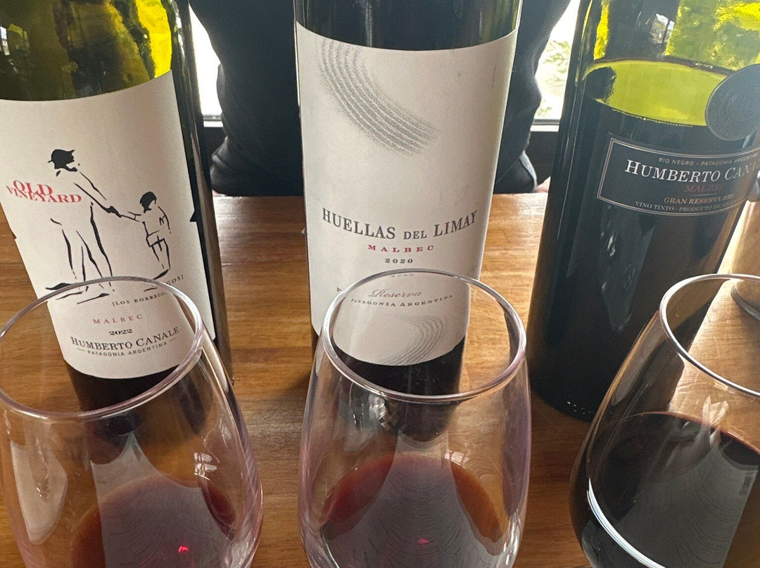 Los Condores Wine Bar