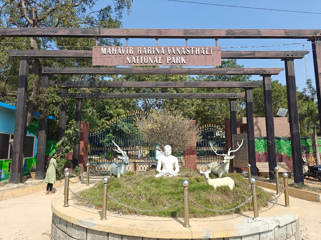 Mahavir Harina Vanasthali National Park景点图片