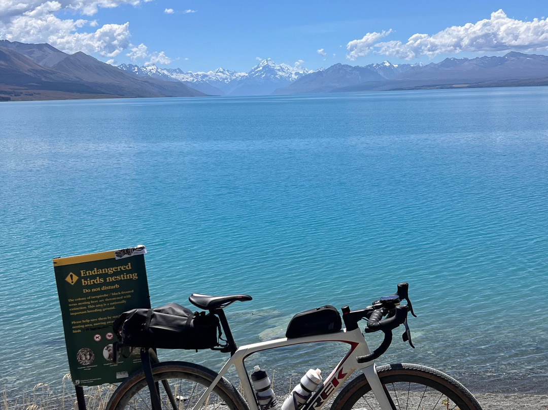 Cycle Journeys Twizel-特威泽尔必去景点