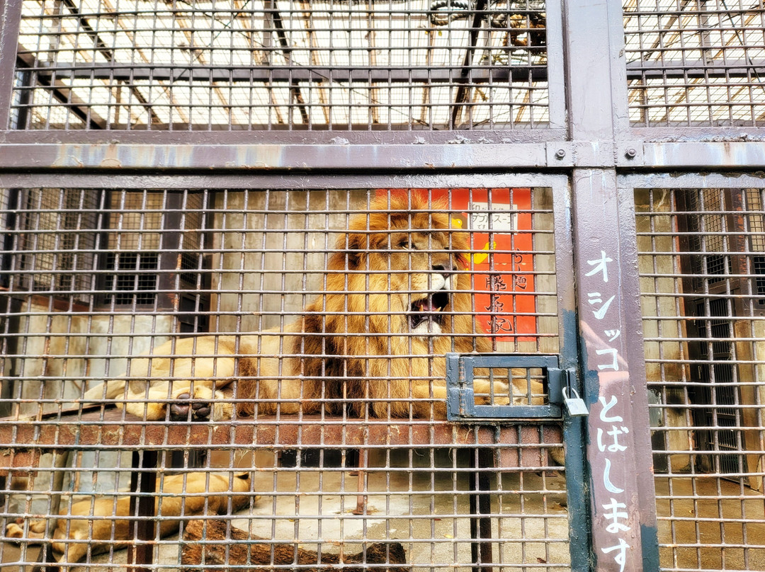 Utsunomiya Zoo-宇都宫市必去景点