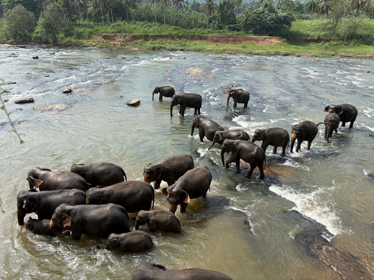 Holiday Dream Travels-卡卢特勒必去景点