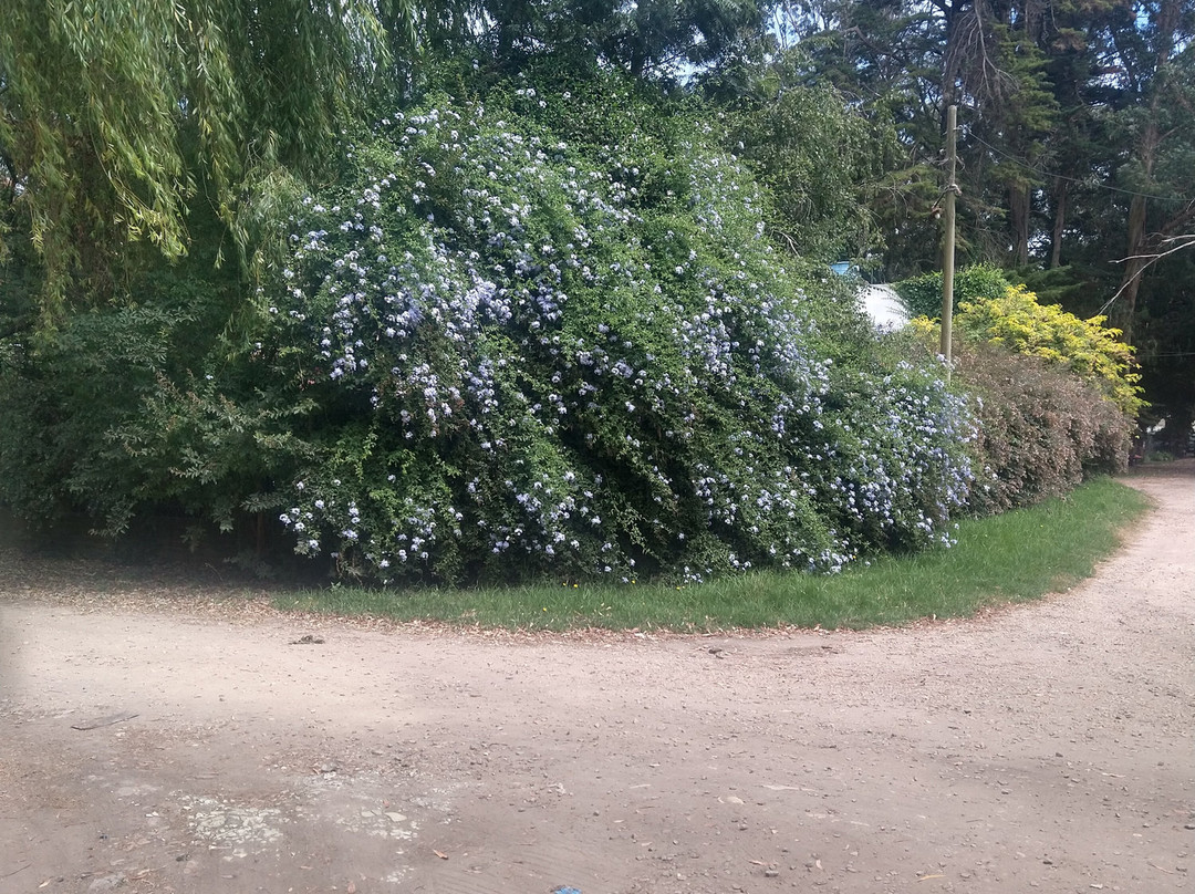Bosque Peralta Ramos-马德普拉塔必去景点