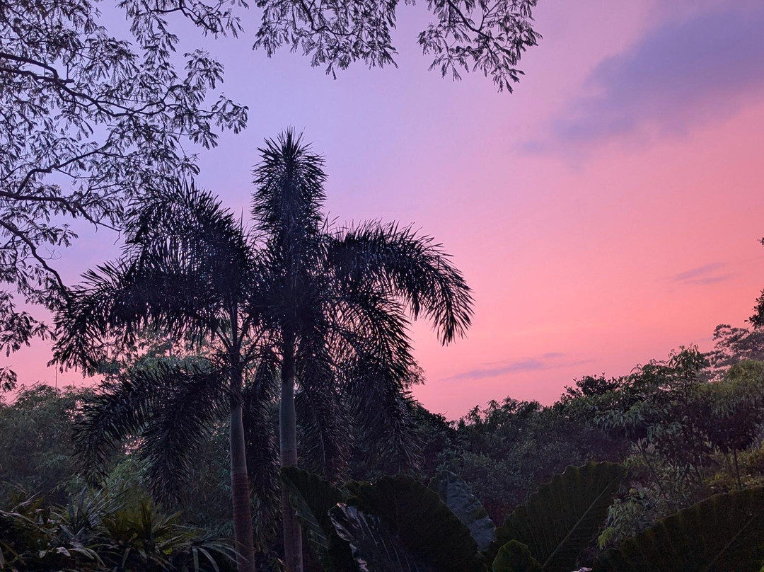 Haritha Villas & Spa主图