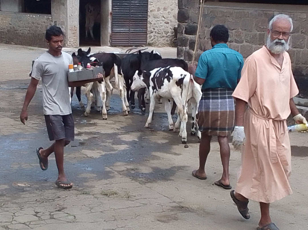 Kurisumala Ashram-伊杜基必去景点