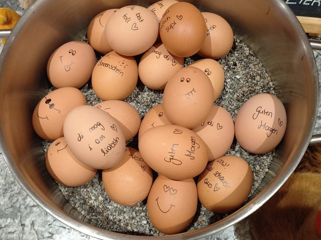 der Löckerwirt - HOTEL主图