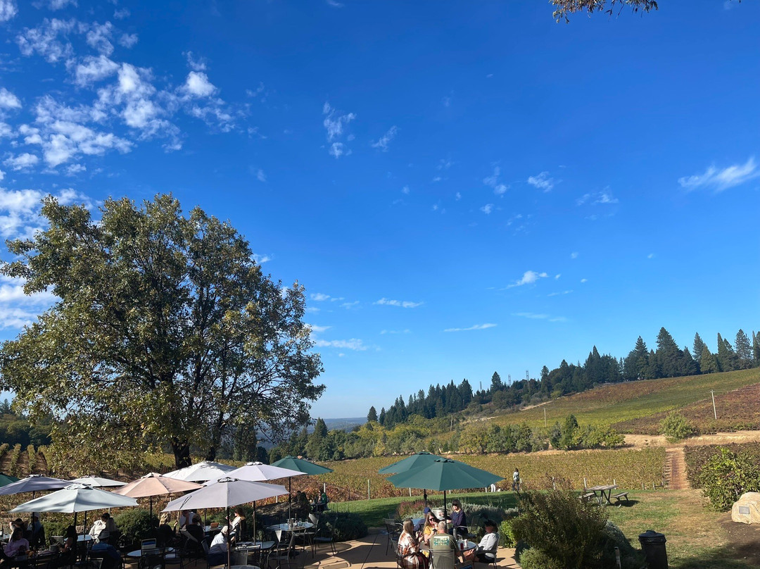 Lava Cap Winery-普莱瑟维尔必去景点