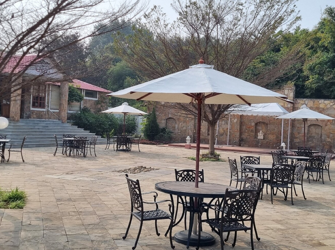 Sariska Safari Lodge主图