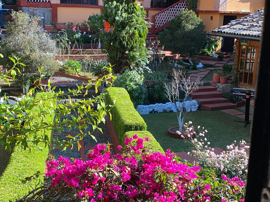 Hotel Don Bruno主图