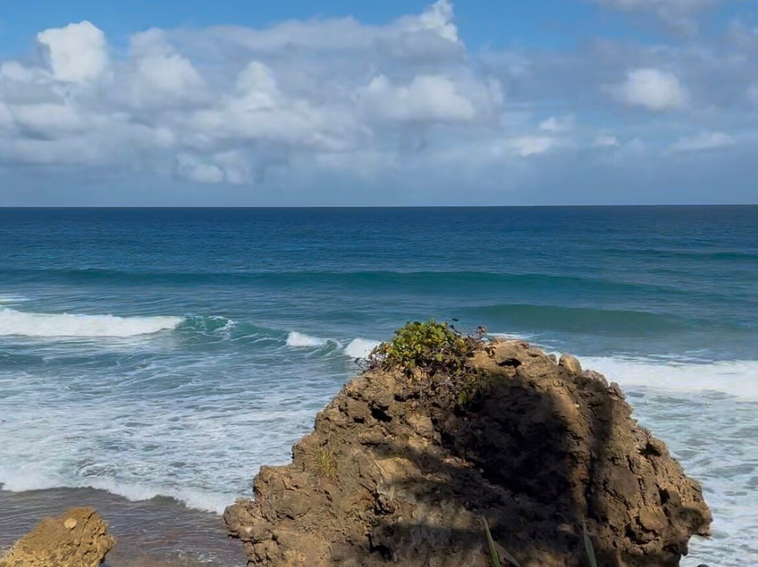 Horseback Rides by Pintos R Us-吕康必去景点