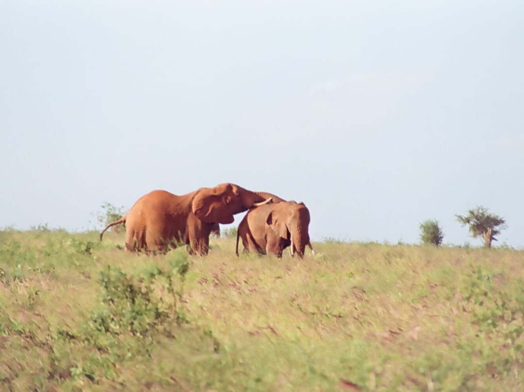 LUMO Community Wildlife Sanctuary景点图片