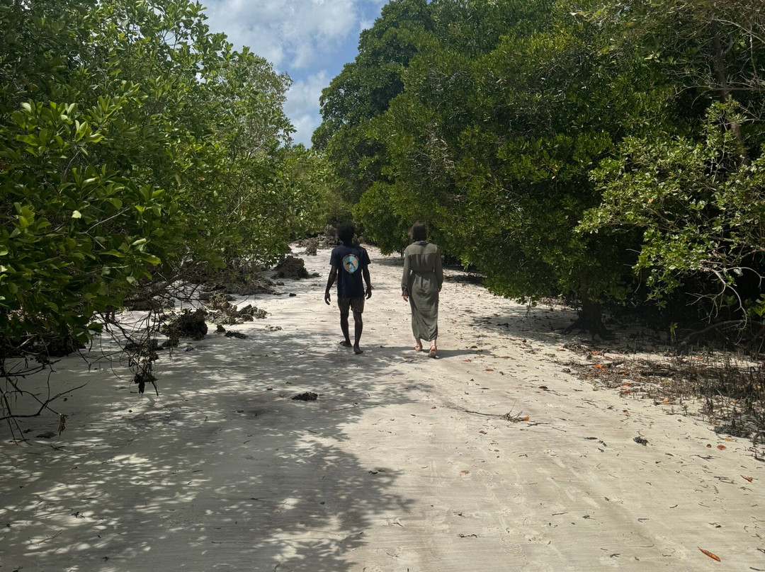 Ethical Dolphin Tours - Kizimkazi, Zanzibar-Kizimkazi必去景点
