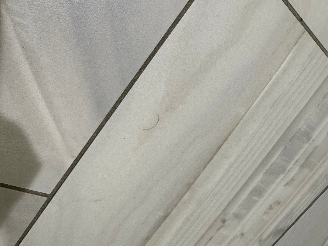 DoubleTree by Hilton Hotel Winston Salem - University主图