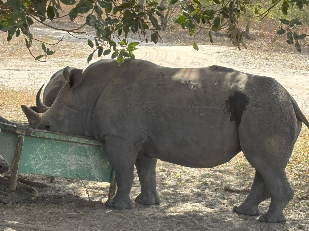 Fathala Wildlife Reserve景点图片